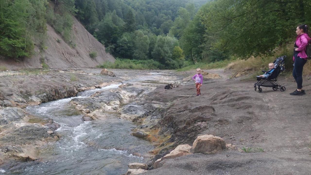 Садиба Федорчуків Гірська Хатина シェショリー エクステリア 写真